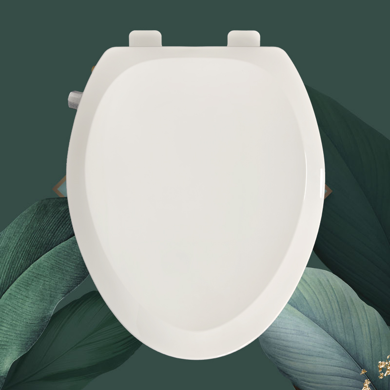 Knob Toilet with Seatable Lid Knob Controlled Bidet Toilet Seat